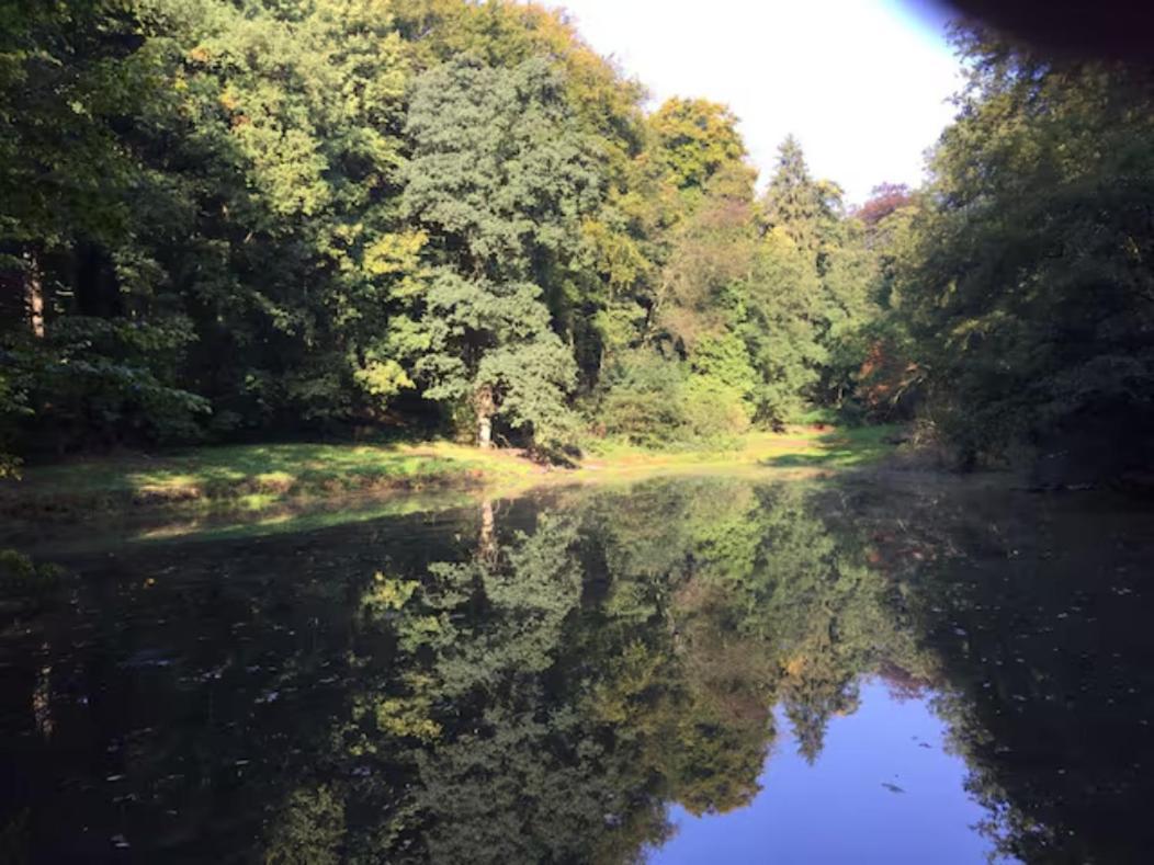 Gite Incontournable Avec Sauna Et Piscine Dans Un Petit Paradis Du Barbant Wallon Villers-la-Ville المظهر الخارجي الصورة