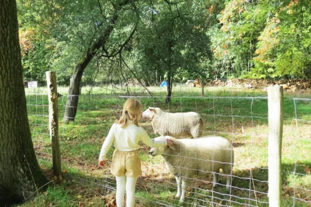 Gite Incontournable Avec Sauna Et Piscine Dans Un Petit Paradis Du Barbant Wallon Villers-la-Ville المظهر الخارجي الصورة