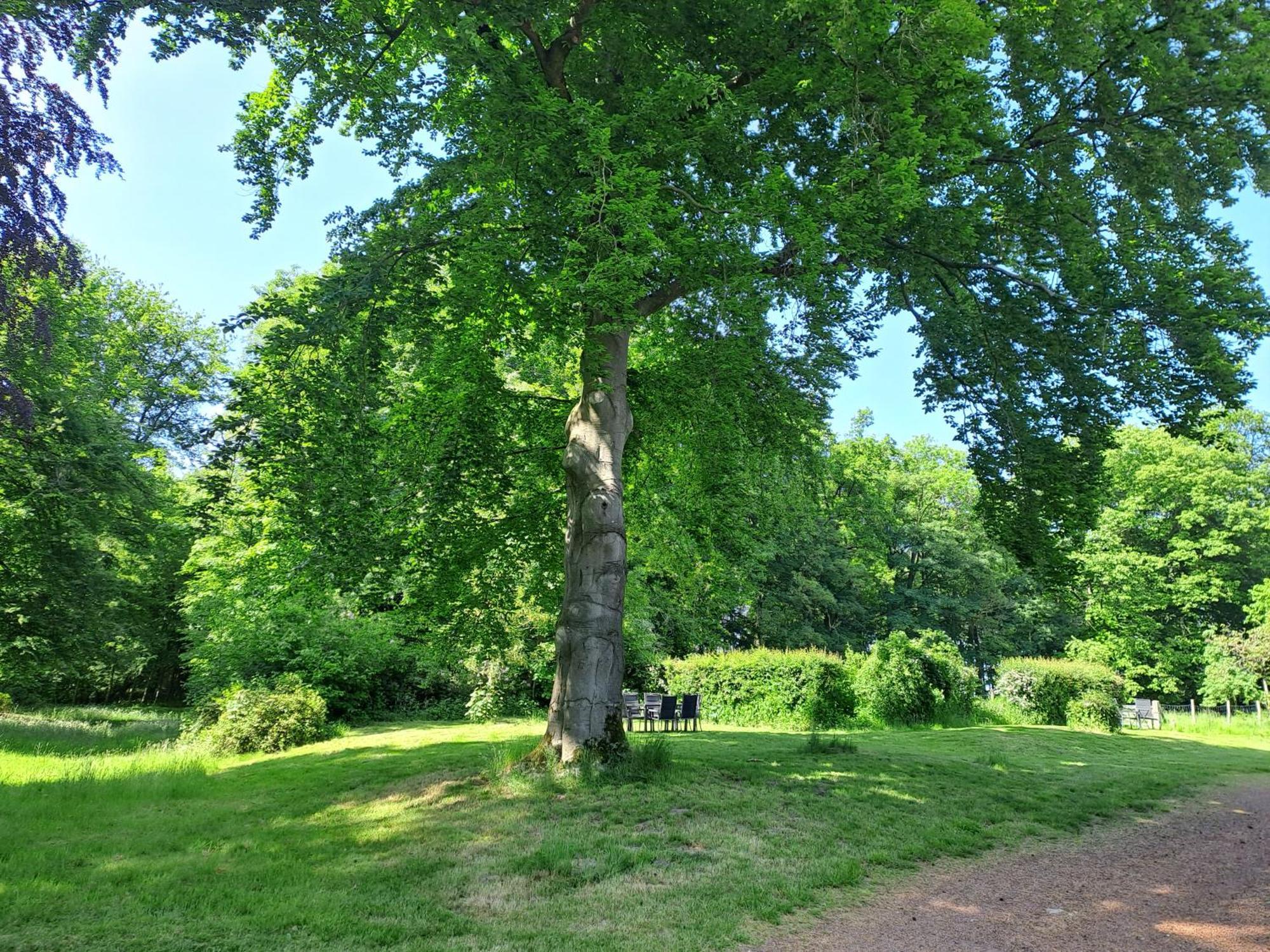 Gite Incontournable Avec Sauna Et Piscine Dans Un Petit Paradis Du Barbant Wallon Villers-la-Ville المظهر الخارجي الصورة